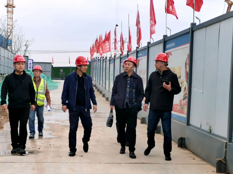 建工控股黨委委員、紀委書記、監(jiān)察專員王汪苗到桃花科創(chuàng)產業(yè)園項目調研督導工作3