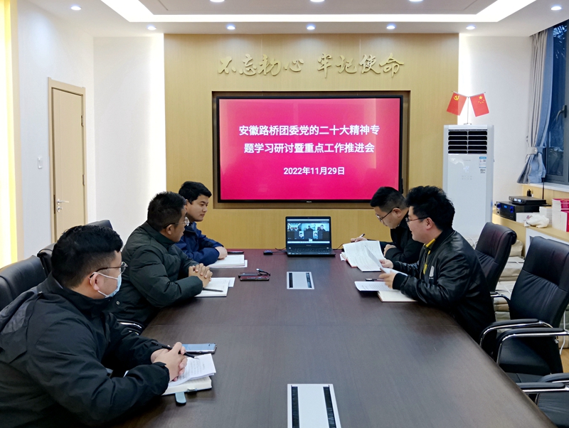 公司團(tuán)委召開(kāi)黨的二十大精神學(xué)習(xí)研討?hù)咧攸c(diǎn)工作推進(jìn)會(huì)